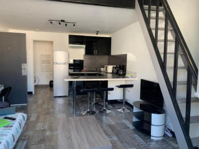 Appartement tout confort en mezzanine à 20mn à pied du centre-ville avec TV et Wifi